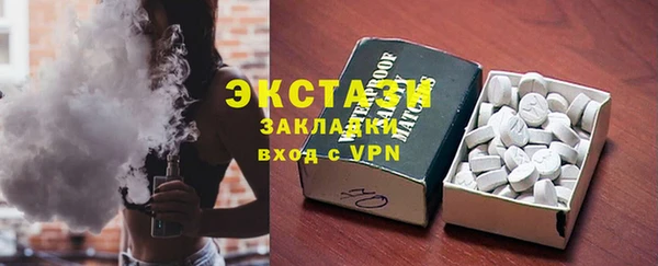 мдпв Гусев