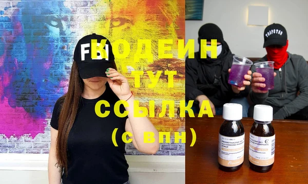 ECSTASY Гусь-Хрустальный